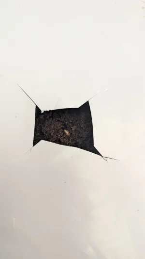 PXL_20251103_175810550.MP.webp PXL_20251103_175810550.MP.webp