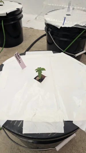 PXL_20251103_175813468.MP.webp PXL_20251103_175813468.MP.webp