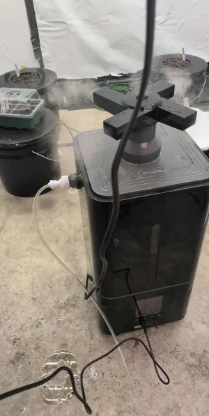 received_1162305705850225.webp received_1162305705850225.webp