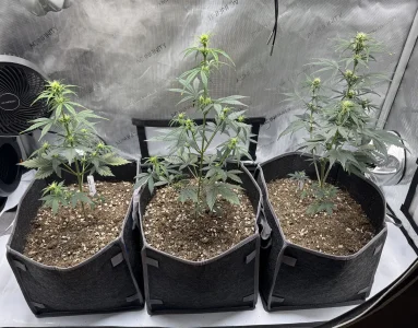 IMG_1851.webp IMG_1851.webp