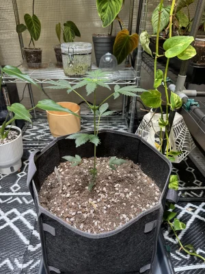 IMG_1852.webp IMG_1852.webp