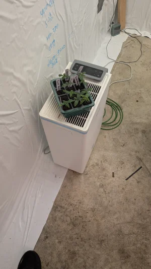 PXL_20251111_195936320.MP.webp PXL_20251111_195936320.MP.webp