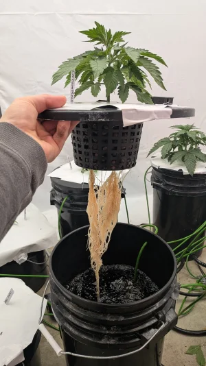 PXL_20251116_163917956.MP.webp PXL_20251116_163917956.MP.webp