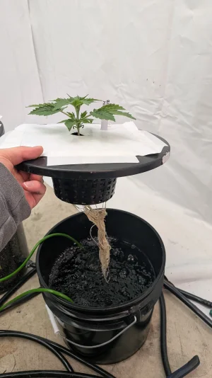 PXL_20251116_163926722.MP.webp PXL_20251116_163926722.MP.webp