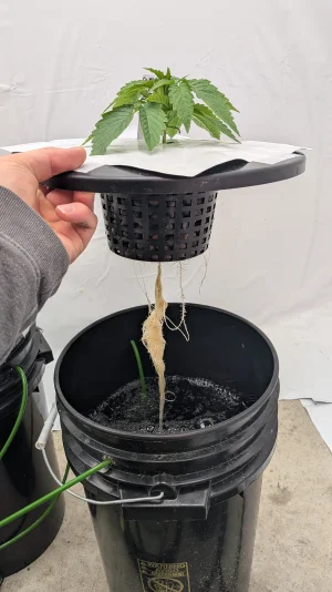 PXL_20251116_163932448.MP.webp PXL_20251116_163932448.MP.webp