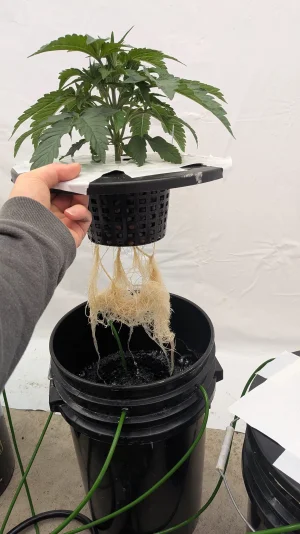 PXL_20251116_163938378.MP.webp PXL_20251116_163938378.MP.webp