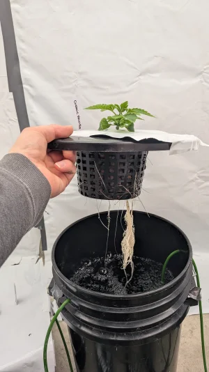 PXL_20251116_163947986.MP.webp PXL_20251116_163947986.MP.webp