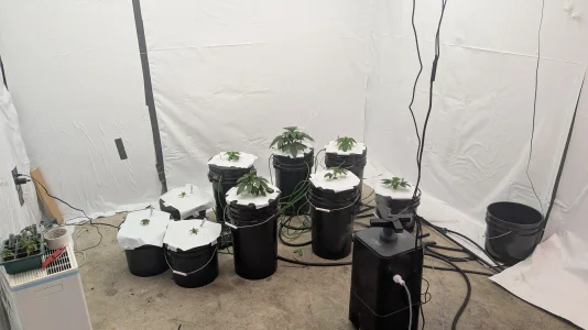 PXL_20251116_163119741.MP.webp PXL_20251116_163119741.MP.webp