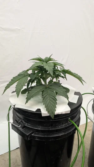 PXL_20251116_163135830.MP.webp PXL_20251116_163135830.MP.webp