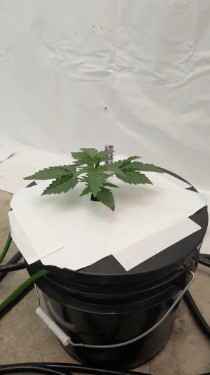 PXL_20251116_163140816.MP.webp PXL_20251116_163140816.MP.webp