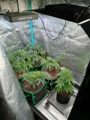 1000007540.webp 1000007540.webp