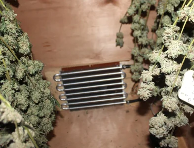 1763761404583.webp 1763761404583.webp