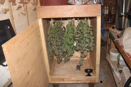 IMG_9625.webp IMG_9625.webp