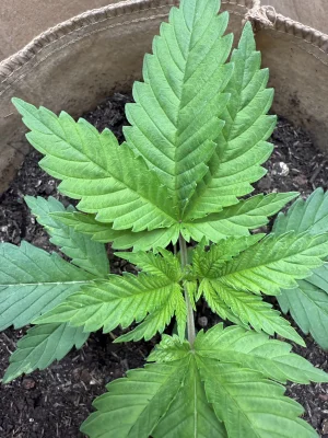 IMG_0834.webp IMG_0834.webp