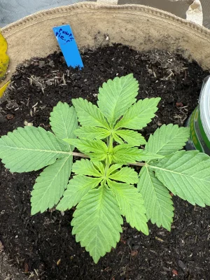 IMG_0836.webp IMG_0836.webp