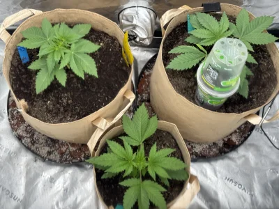 IMG_0851.webp IMG_0851.webp