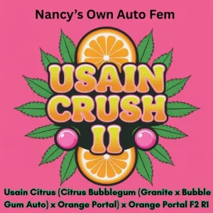 “Auto Usain Crush II” Auto Usain Citrus (Citrus Bubblegum (Granite x Bubble Gum Auto) x Orang...webp