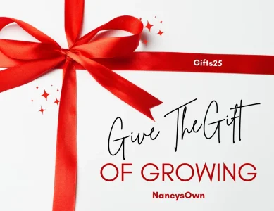 Congrats, you won!.webp