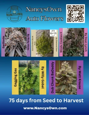 Copy of I Grow 3.webp